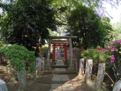 03 FISH-EYE