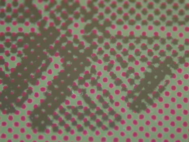 CD-ROMのラベル面